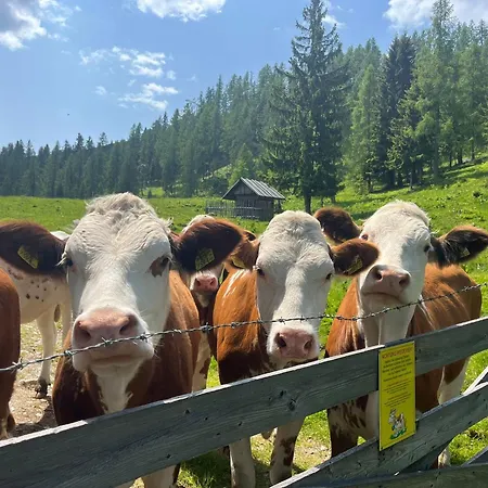 Tatil Evi Neuwirth Huette