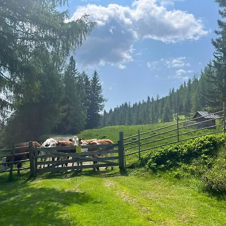 Neuwirth Huette Gnesau