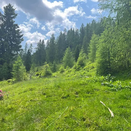 Neuwirth Huette 度假居