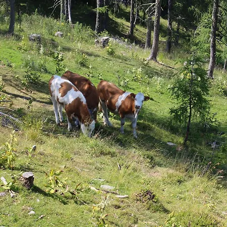 Neuwirth Hütte Gnesau