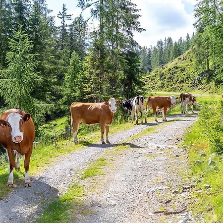 Neuwirth Huette Gnesau