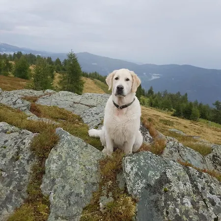 Neuwirth Huette * Gnesau