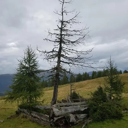 Casa de Férias Neuwirth Huette *