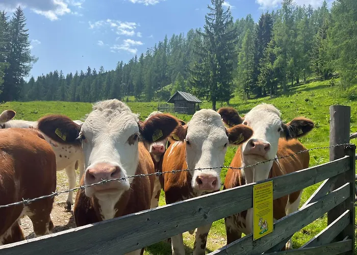 Сasa de vacaciones Neuwirth Hütte