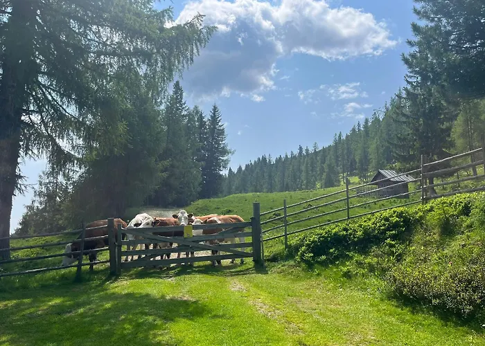 Neuwirth Hütte Gnesau