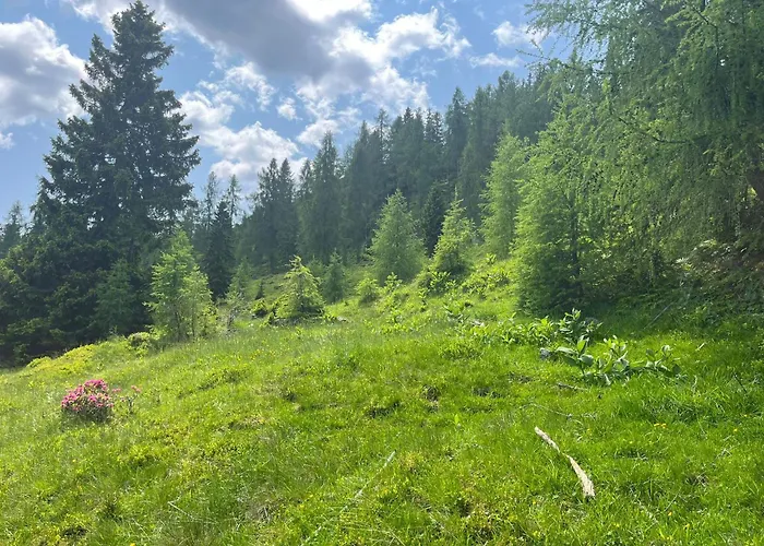 Neuwirth Hütte Сasa de vacaciones
