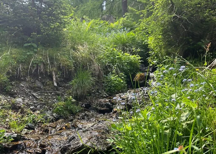 Neuwirth Huette Gnesau