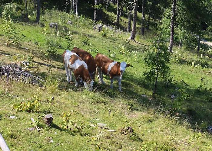 Neuwirth Hütte Gnesau