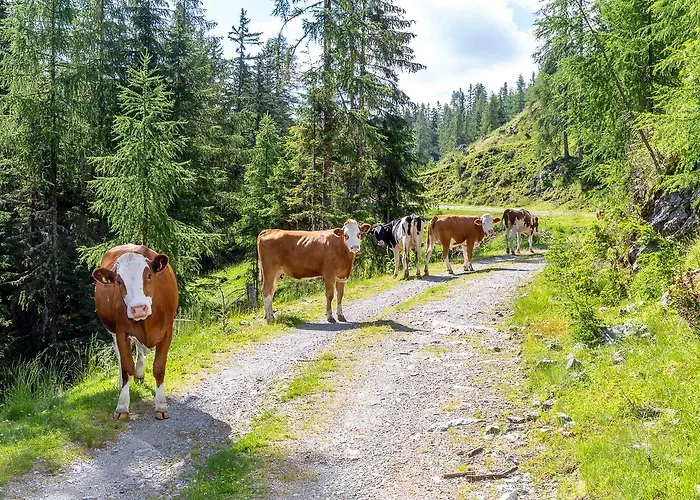 Neuwirth Huette Gnesau