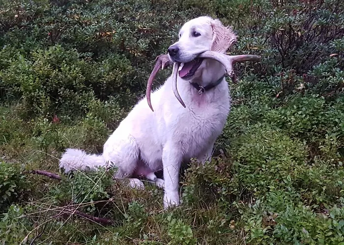 Neuwirth Hütte Сasa de vacaciones Gnesau