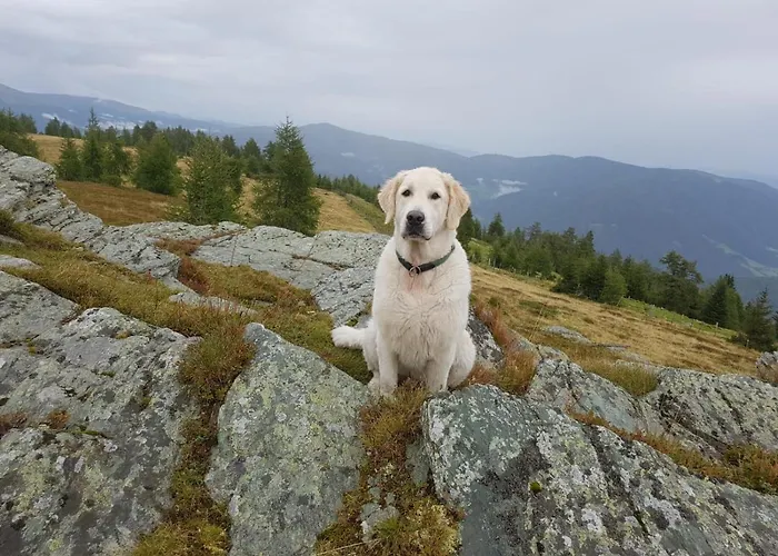 Neuwirth Hütte * Gnesau