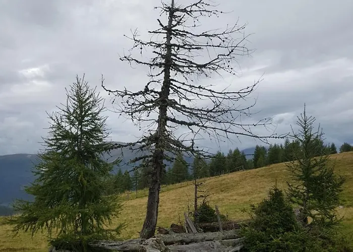 Сasa de vacaciones Neuwirth Hütte *